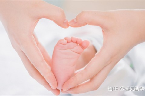 夏天南京捐卵宝宝发烧 莫要急