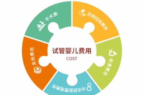 南京捐卵宝宝肚痛，父母该怎么办？